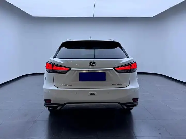 Lexus RX 2020 model modified 300 four-wheel drive elegant version 4