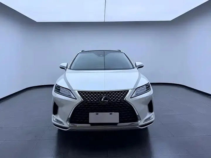 Lexus RX 2020 model modified 300 four-wheel drive elegant version 7