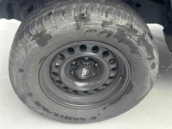 Tank 300 2021 Off-road Edition 2.0T Conqueror 14