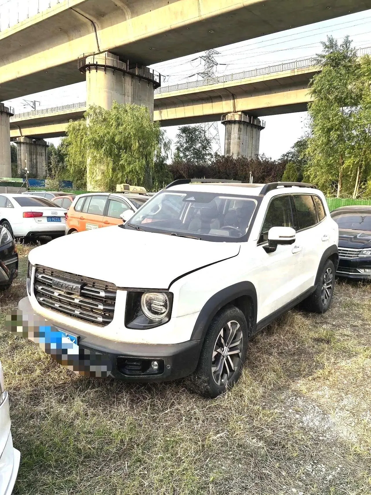 Haval Big Dog 2021 1.5T DCT Two-Drive Border Animal Husbandry-Wangcai Edition - View 1