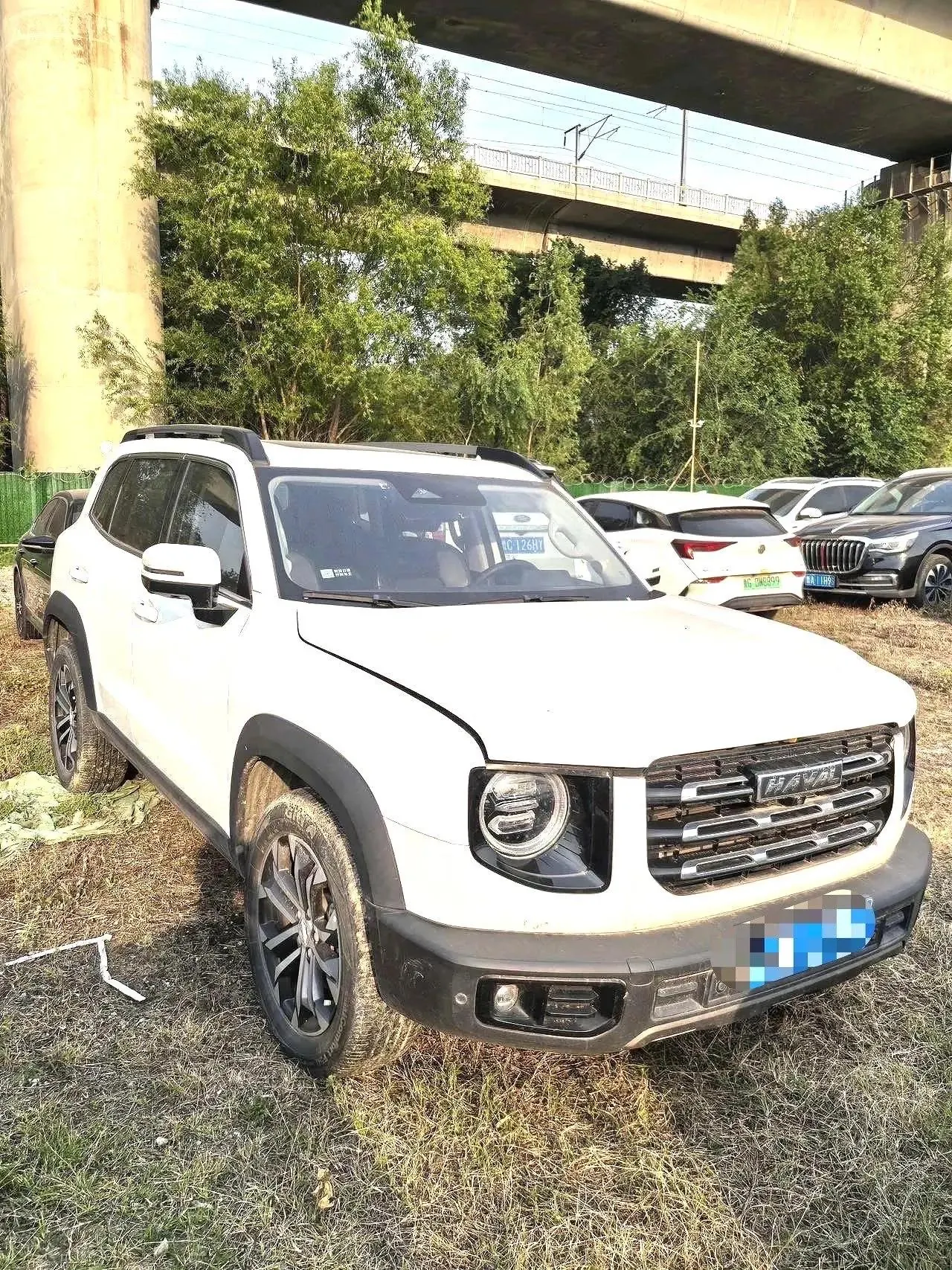 Haval Big Dog 2021 1.5T DCT Two-Drive Border Animal Husbandry-Wangcai Edition 3