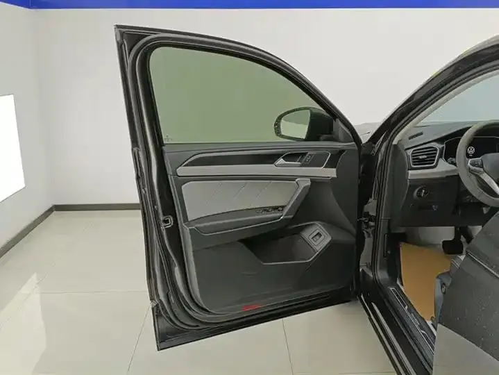 Tan Yue 2024 300TSI Two-Drive Luxury Plus Advanced Edition 7