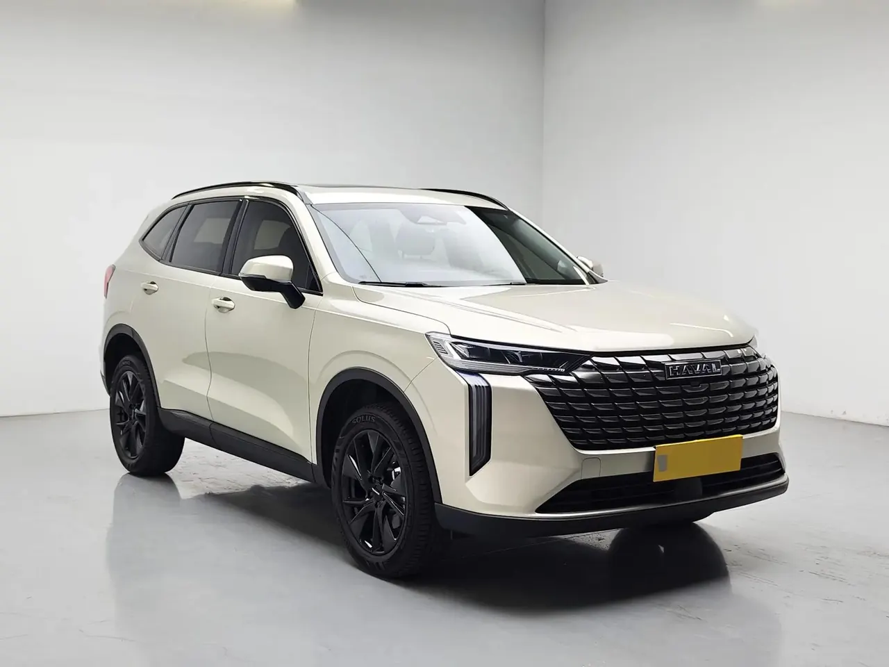 Haval 2024 H6 1.5T Two-Wheel Drive Ultra Automatic 3