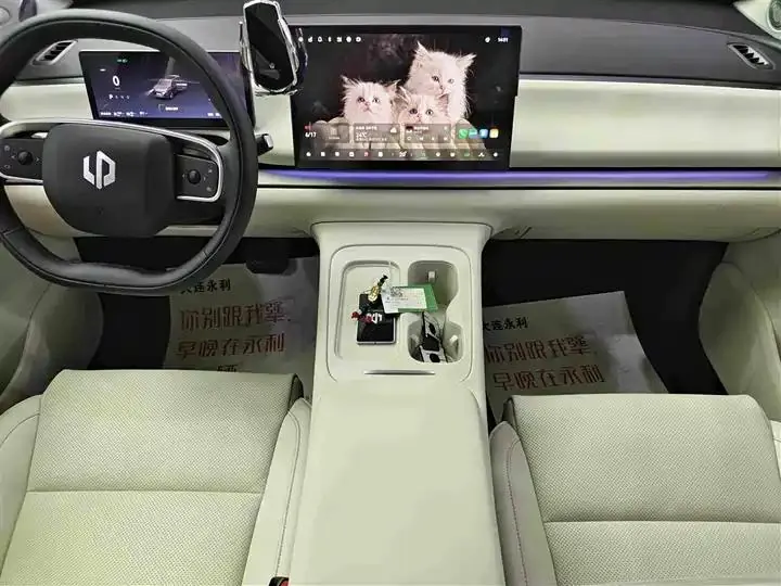 Leapmotor C16 2024 extended range 200 exclusive edition 13