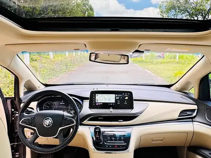 Buick GL8 2023 Land Business Class 652T Luxury Model 13