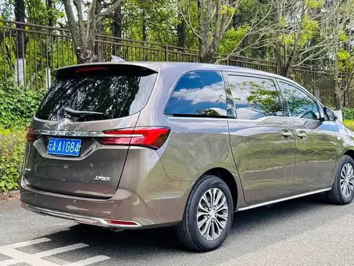 Buick GL8 2023 Land Business Class 652T Luxury Model 5