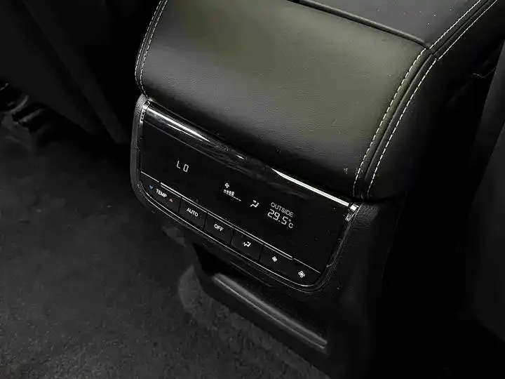 Chuanqi GS8 2022 Dual Qing Series 2.0TM Two-Drive Premium Edition (6 seats) 23