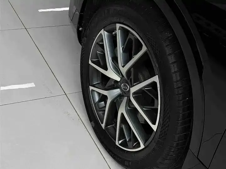 Chuanqi GS8 2022 Dual Qing Series 2.0TM Two-Drive Premium Edition (6 seats) 36
