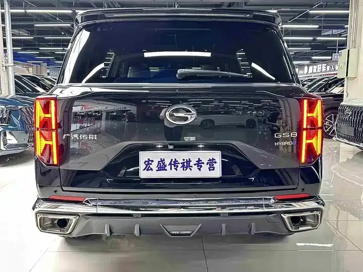 Chuanqi GS8 2022 Dual Qing Series 2.0TM Two-Drive Premium Edition (6 seats) 38