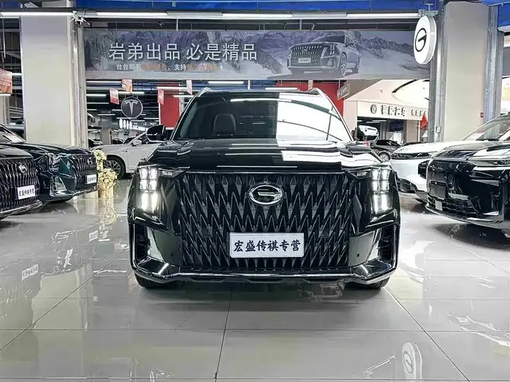 Chuanqi GS8 2022 Dual Qing Series 2.0TM Two-Drive Premium Edition (6 seats) 4