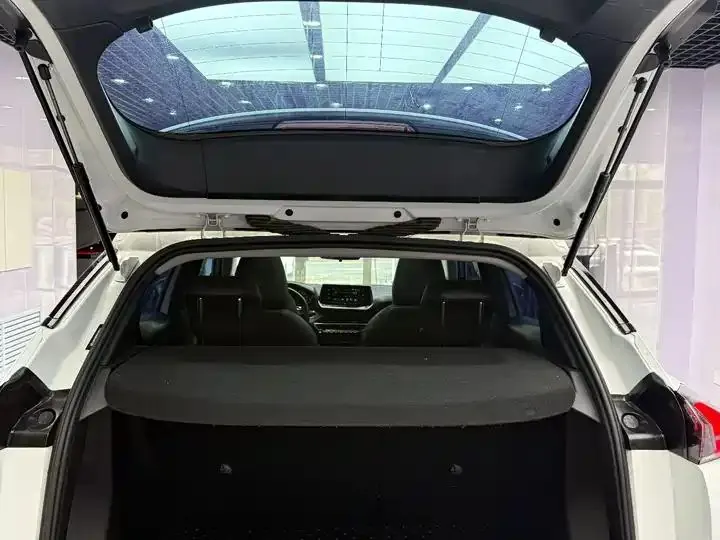 Peugeot 2008 2022 230THP THE ONE 18