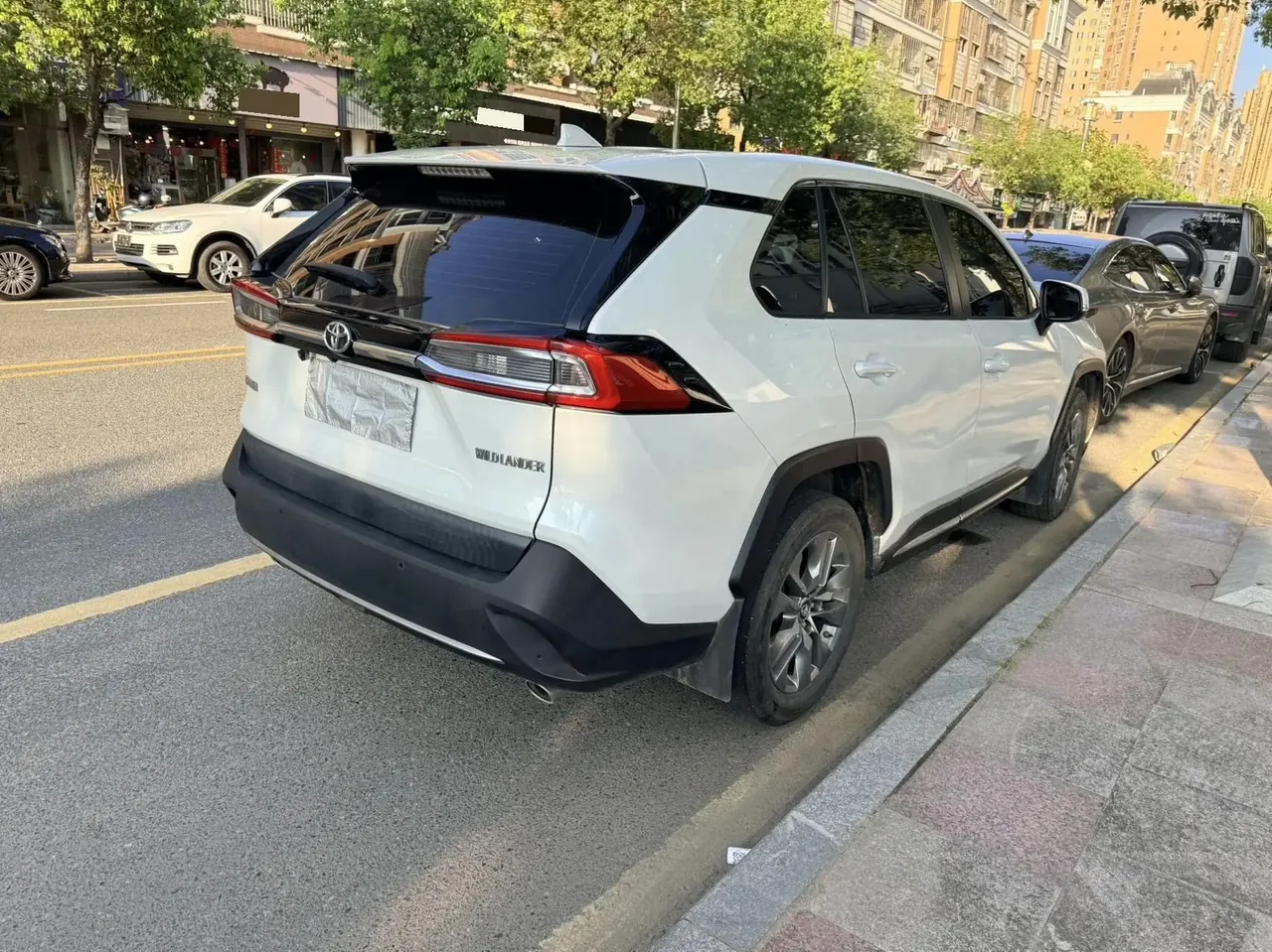 Wildlander 2020 2.0L CVT Front-Wheel-Drive Luxury Edition 4