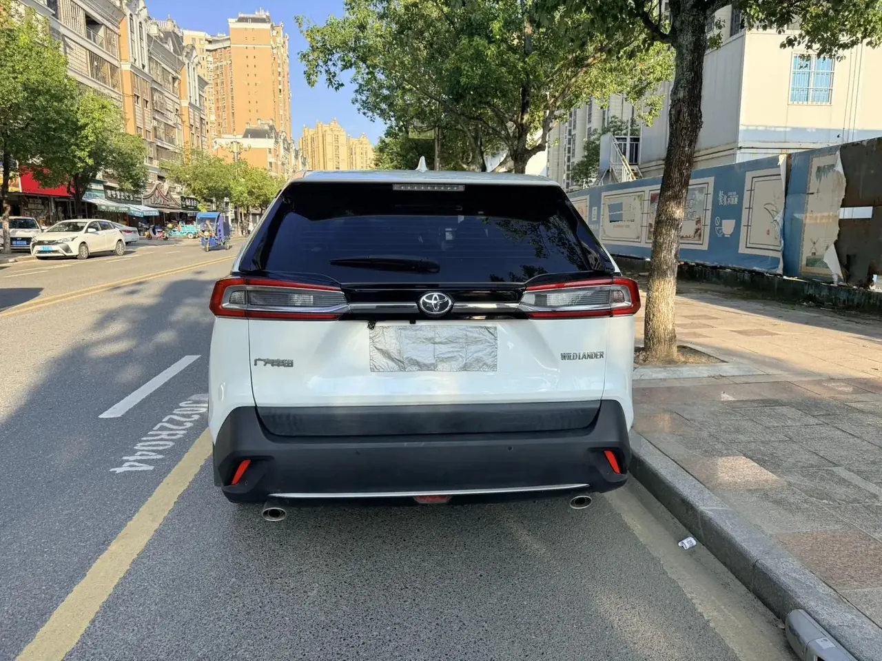 Wildlander 2020 2.0L CVT Front-Wheel-Drive Luxury Edition 5