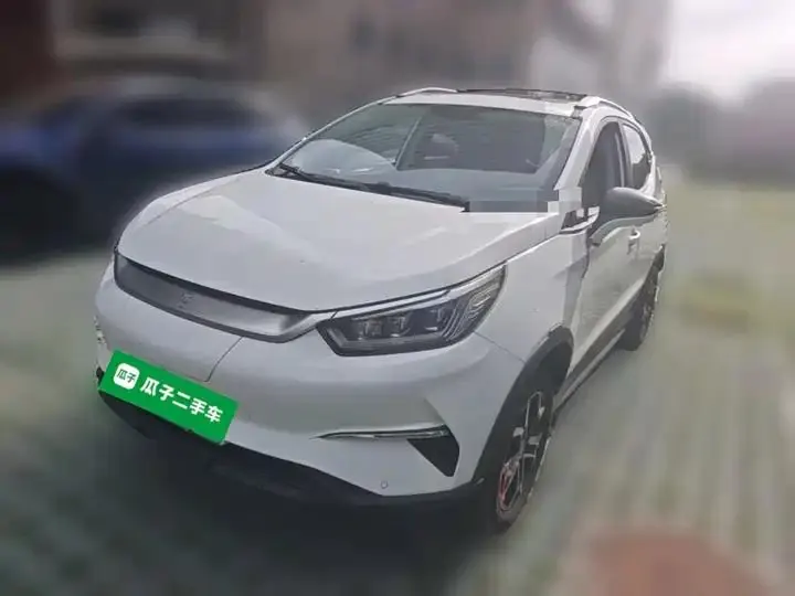 e-2021 Yuan Pro, A Lifetime Edition 3