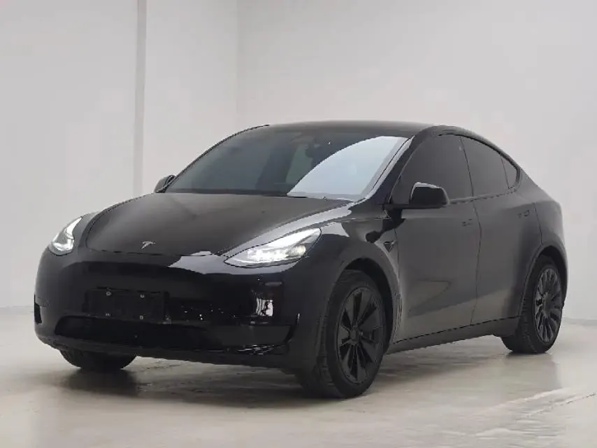 2022 Model Y Refreshed Rear-Wheel-Drive Version - View 1