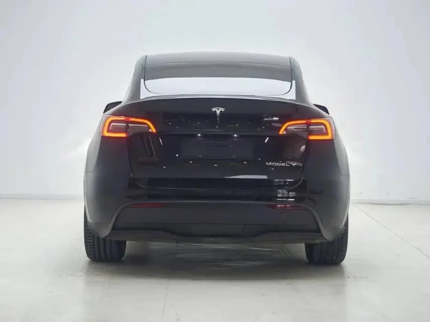 2022 Model Y Refreshed Rear-Wheel-Drive Version 4