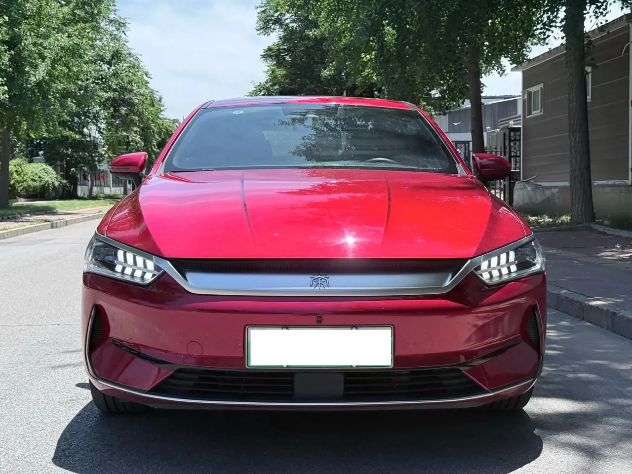 2021 BYD Qin PLUS EV 600KM Flagship Model 2