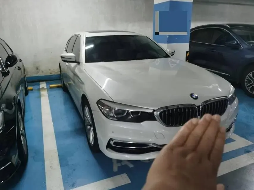 BMW 5 Series 2020 525Li Deluxe Suit 2