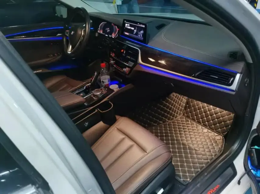 BMW 5 Series 2020 525Li Deluxe Suit 4