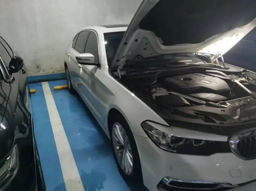 BMW 5 Series 2020 525Li Deluxe Suit 5