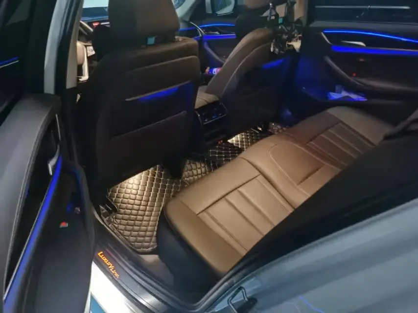 BMW 5 Series 2020 525Li Deluxe Suit 6