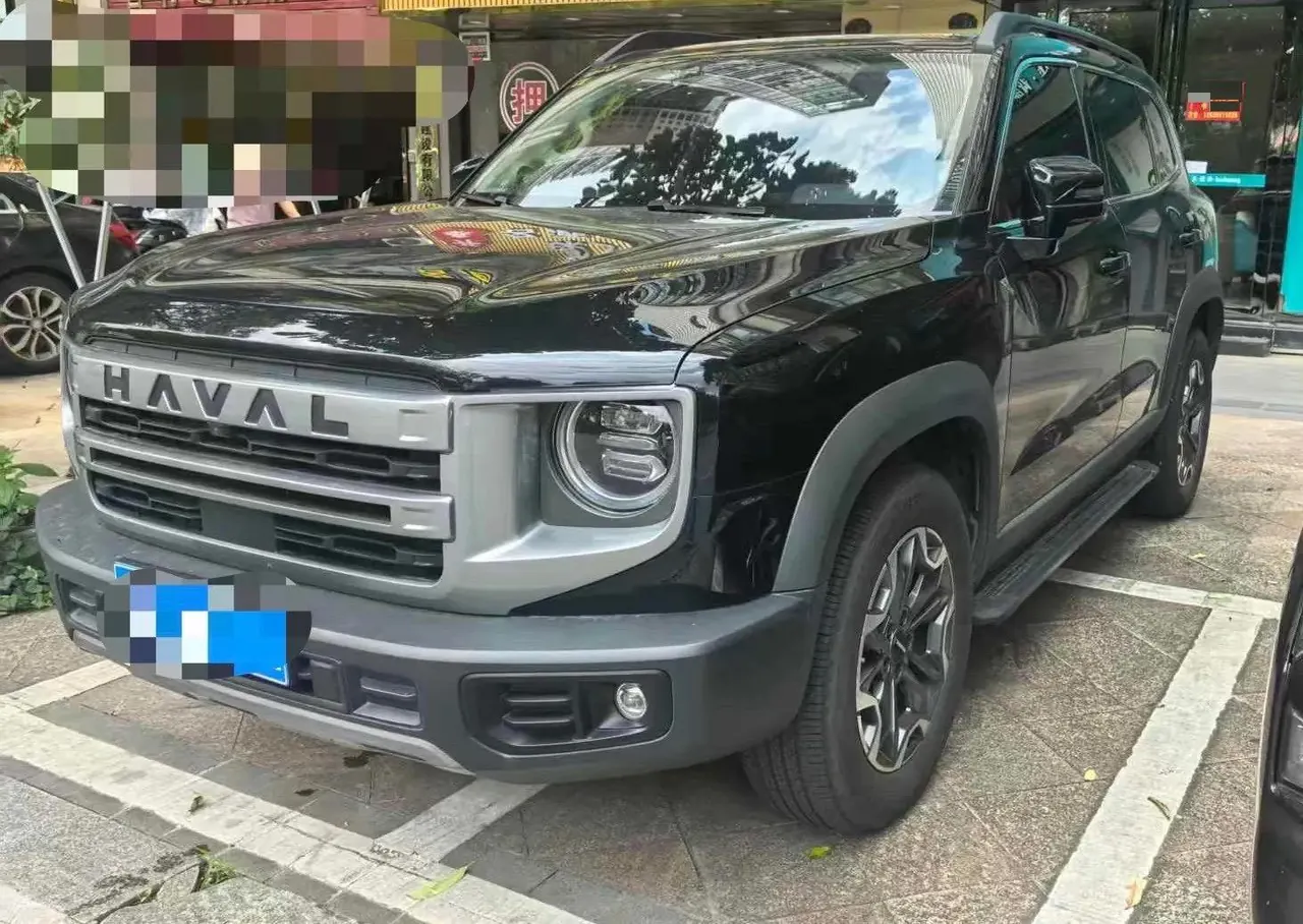 Haval 2024 big dog 2.0T Chinese garden dog version automatic gear - View 1