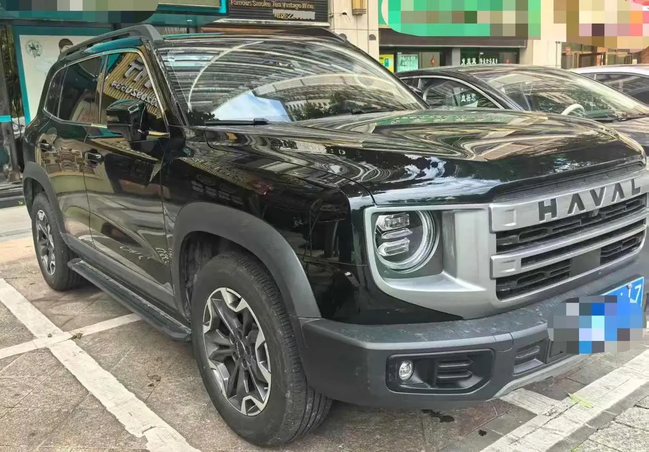 Haval 2024 big dog 2.0T Chinese garden dog version automatic gear 2