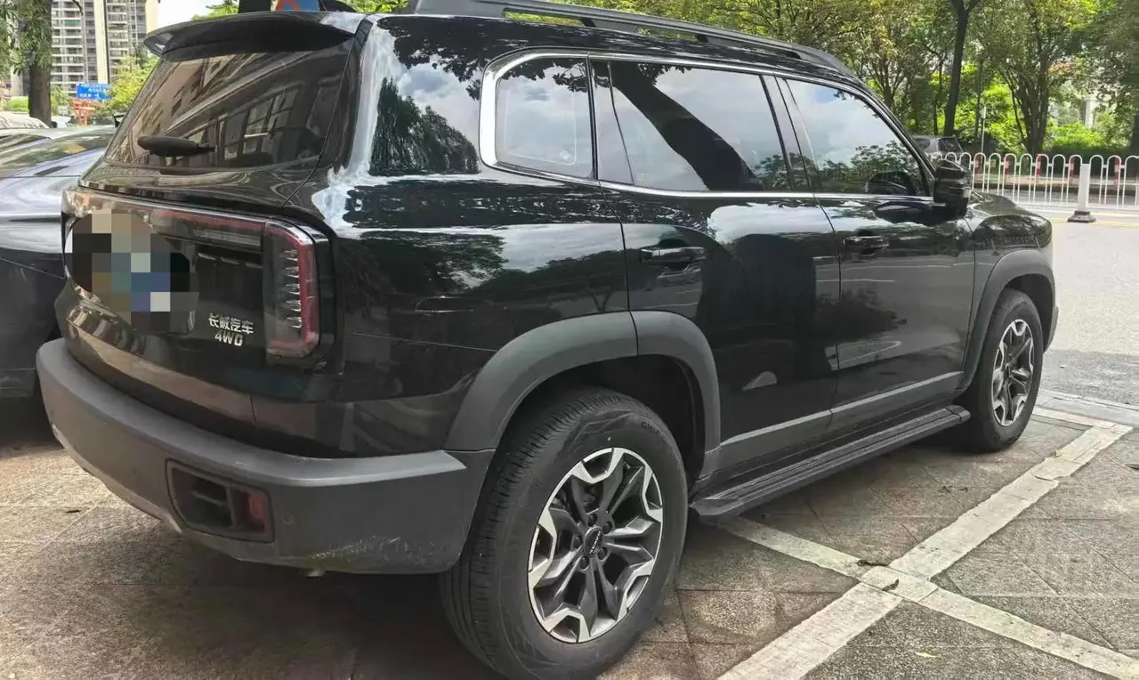 Haval 2024 big dog 2.0T Chinese garden dog version automatic gear 3