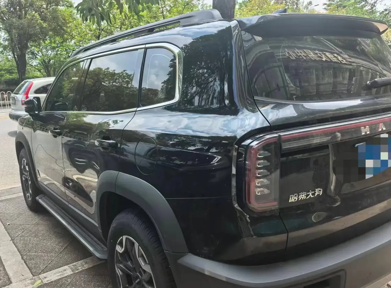 Haval 2024 big dog 2.0T Chinese garden dog version automatic gear 5