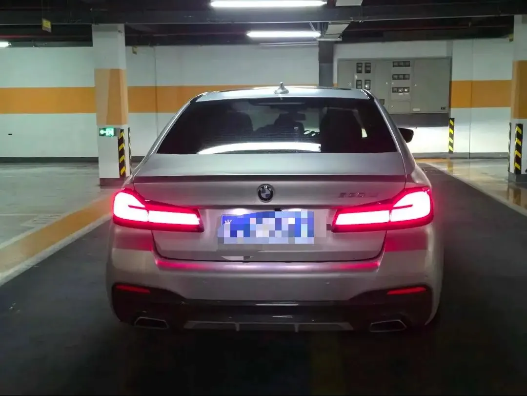 BMW 5 Series 2021 530Li Leading M Sports Suit 4