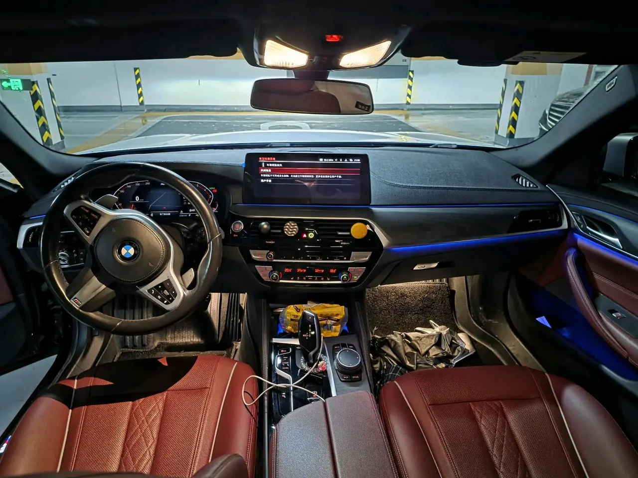 BMW 5 Series 2021 530Li Leading M Sports Suit 7