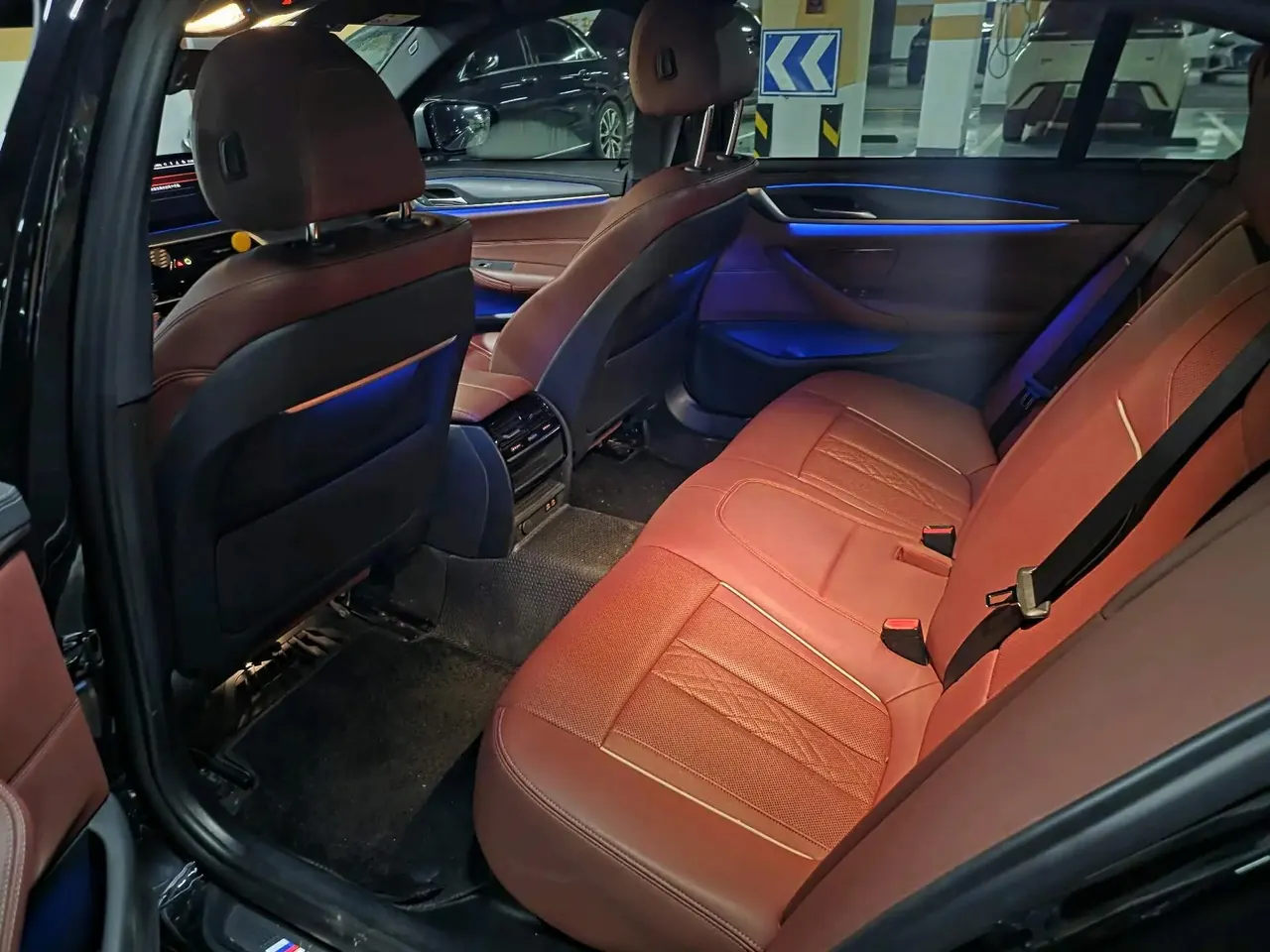 BMW 5 Series 2021 530Li Leading M Sports Suit 8