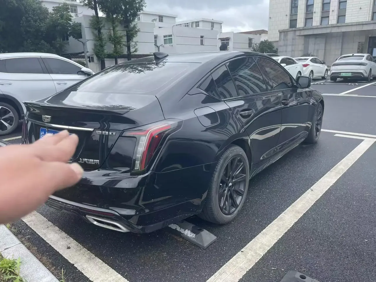 Cadillac CT5 2024 28T Honorable Model 7