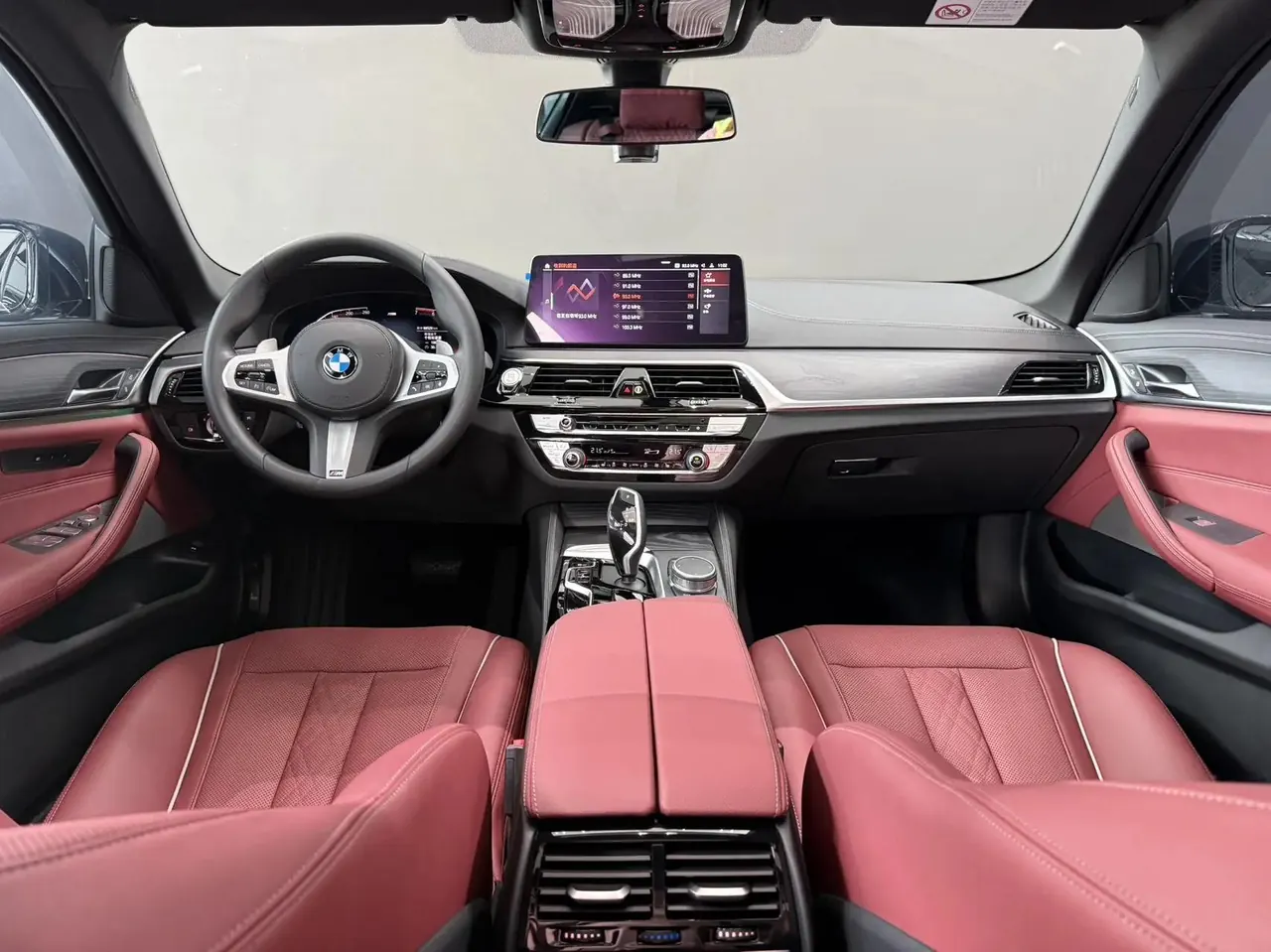 BMW 5 Series 2021 530Li Leading M Sports Suit 8