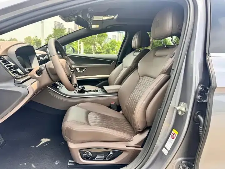 Han 2020 DM 4WD Performance Edition Premium Model 10