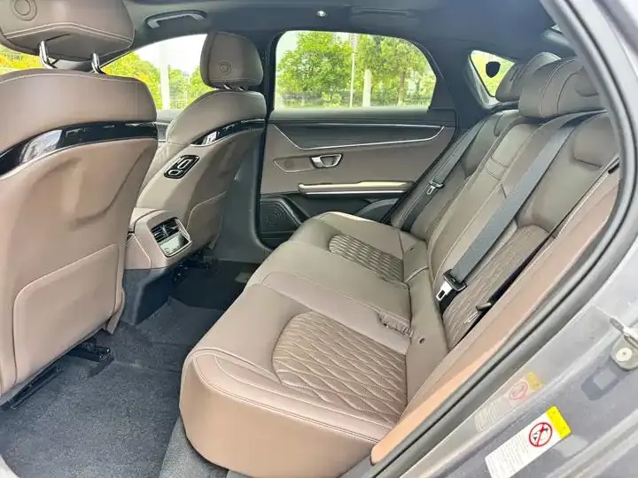 Han 2020 DM 4WD Performance Edition Premium Model 13