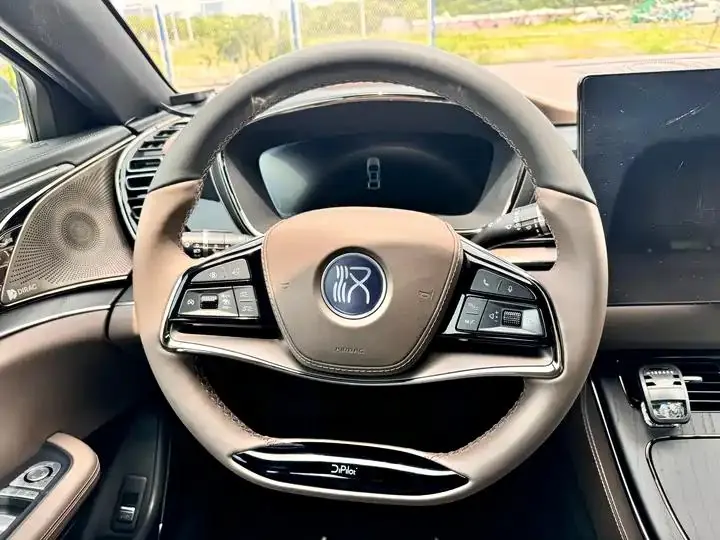 Han 2020 DM 4WD Performance Edition Premium Model 16