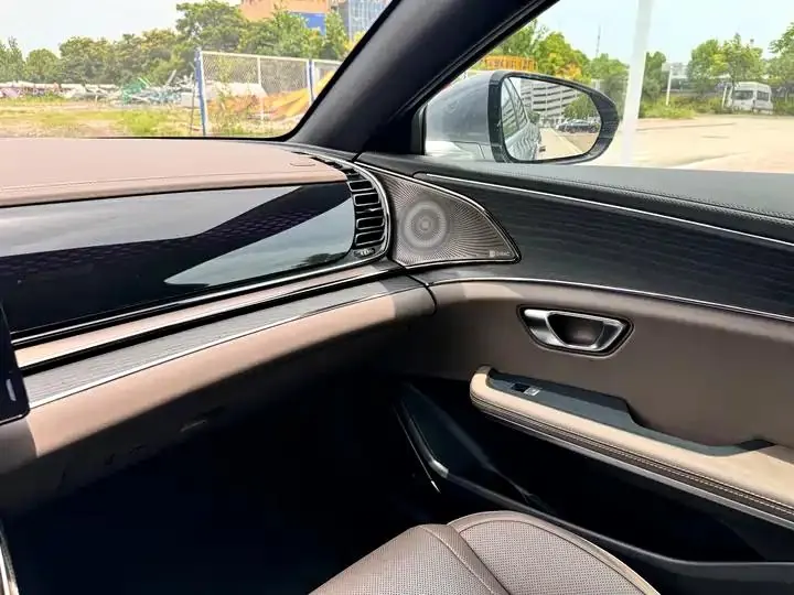 Han 2020 DM 4WD Performance Edition Premium Model 18