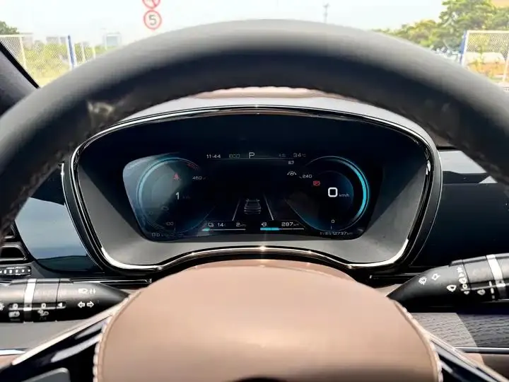 Han 2020 DM 4WD Performance Edition Premium Model 19