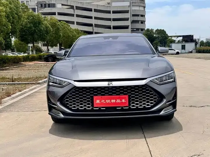 Han 2020 DM 4WD Performance Edition Premium Model 2
