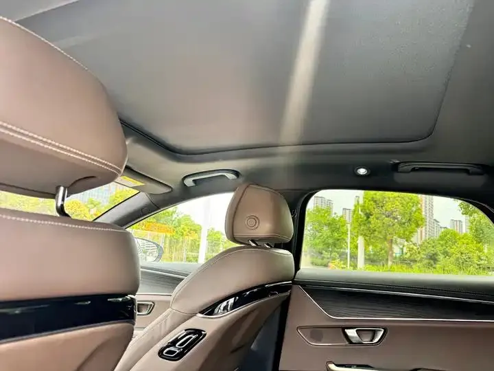 Han 2020 DM 4WD Performance Edition Premium Model 20