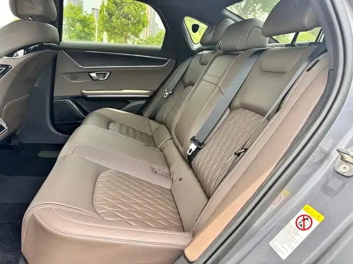 Han 2020 DM 4WD Performance Edition Premium Model 21
