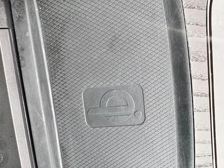 Han 2020 DM 4WD Performance Edition Premium Model 23
