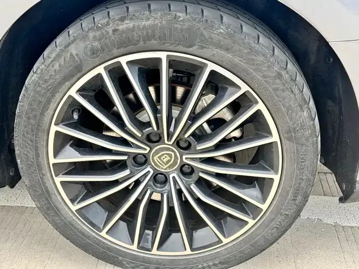 Han 2020 DM 4WD Performance Edition Premium Model 27