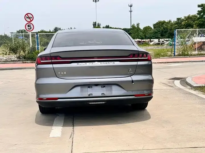 Han 2020 DM 4WD Performance Edition Premium Model 6