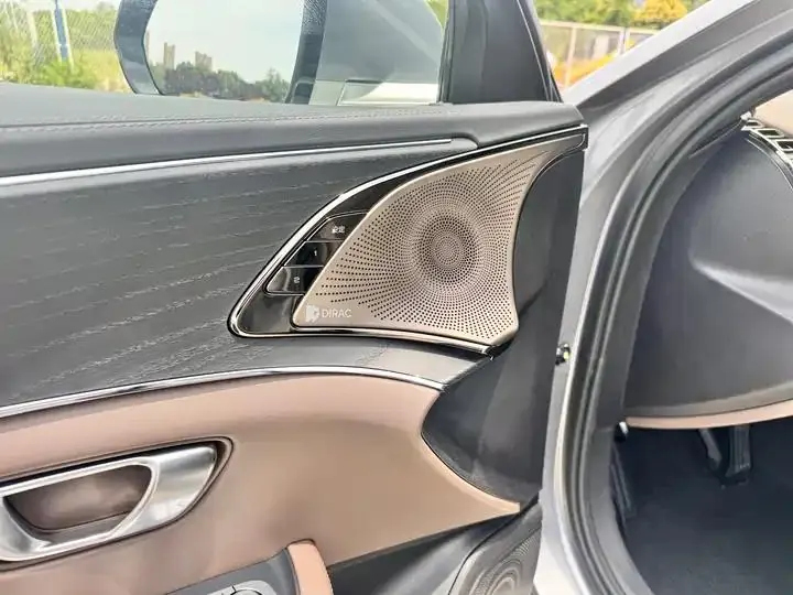 Han 2020 DM 4WD Performance Edition Premium Model 9