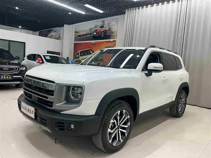 Open image lightbox: Haval Big Dog 2024 1.5T DCT Border Animal Husbandry Edition