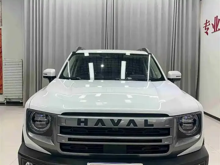 Haval Big Dog 2024 1.5T DCT Border Animal Husbandry Edition 2