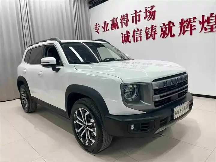 Haval Big Dog 2024 1.5T DCT Border Animal Husbandry Edition 3