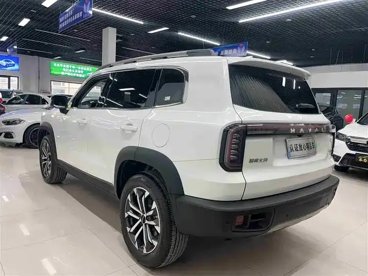 Haval Big Dog 2024 1.5T DCT Border Animal Husbandry Edition 4